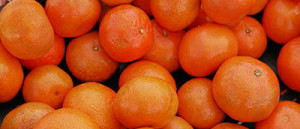 tangerine photo