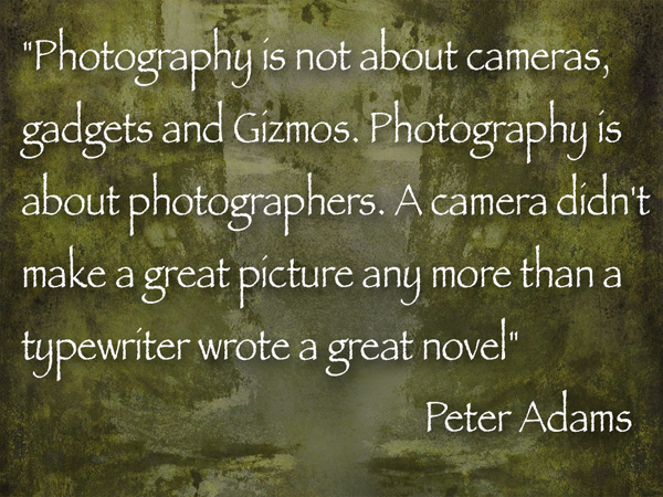 photo/art quote from Peter Adams