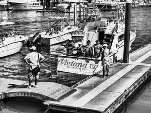 cabo san lucas fishing catch image