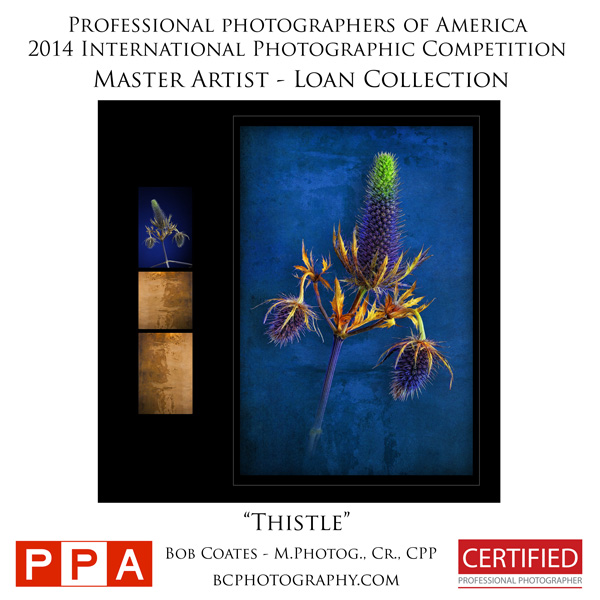 ppa_comp_prints_loan_collection_thistle
