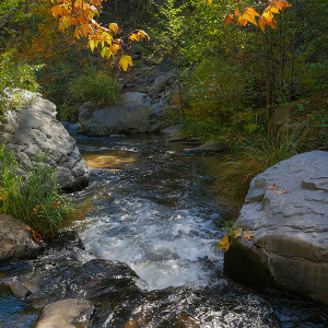 creek water image