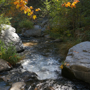creek photo