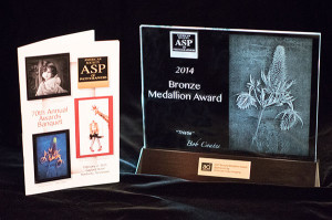 american society of photographers bronze award