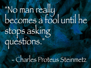 steienmetz questions quote image
