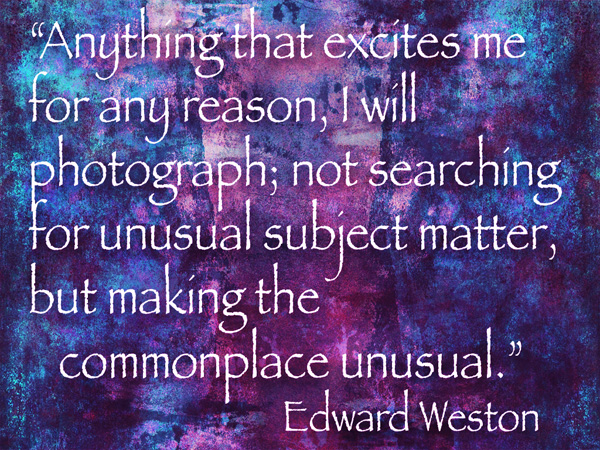 edward weston quote