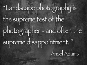 ansel adams quote