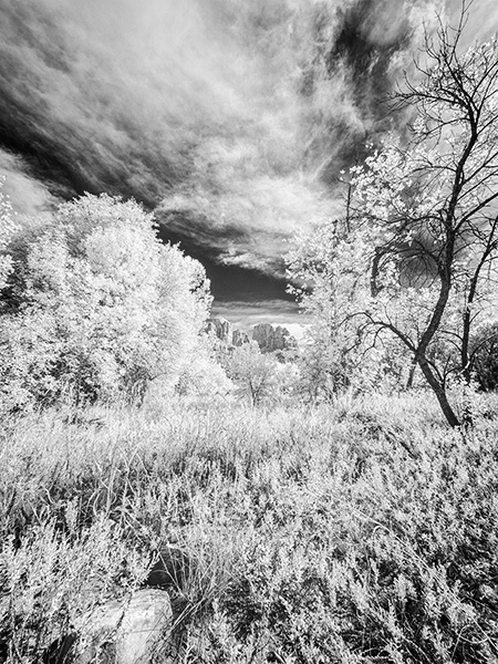 IR image cathedral rock in sedona