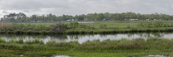delaware marsh view panoramic image
