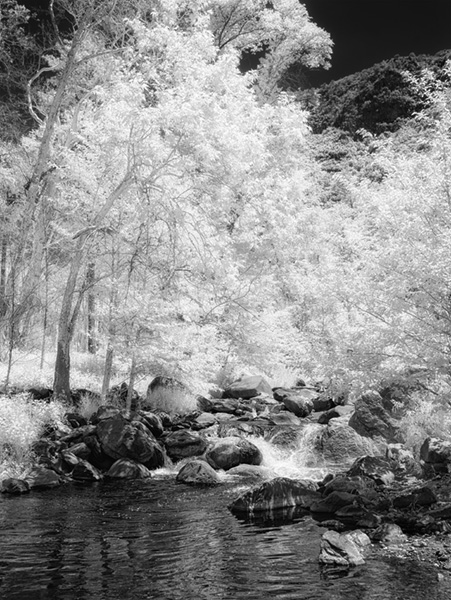 sedona oak creek infrared photo