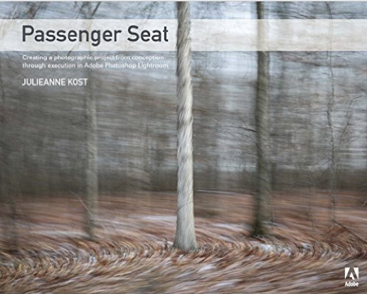 passenger seat book cover julianne kost