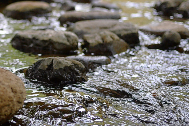 beaver creek photo bob coates photography