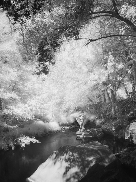 long view of the model on the creek infrared