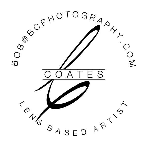 lens based artist | Successful Photographer