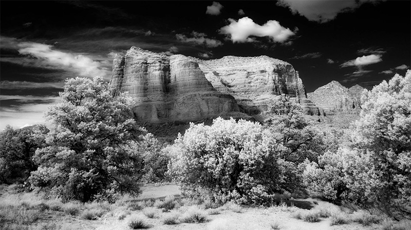 lets talk infrared photography