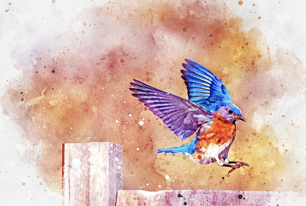 Photoshop bluebird watercolor made with action